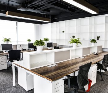 Ofis - Büro Dekorasyonu