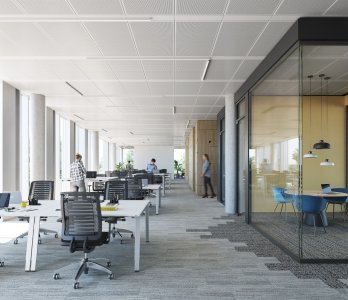 Ofis - Büro Dekorasyonu