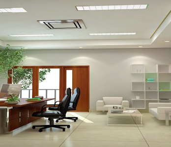 Ofis - Büro Dekorasyonu