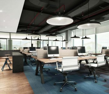 Ofis - Büro Dekorasyonu