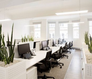 Ofis - Büro Dekorasyonu
